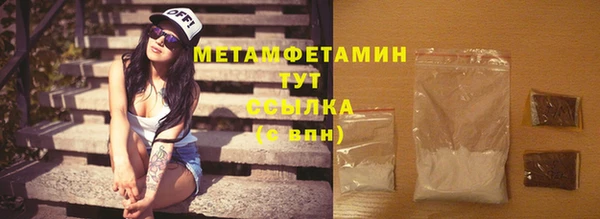 индика Нягань