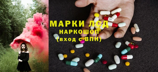 индика Нягань