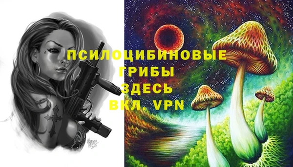 индика Нягань