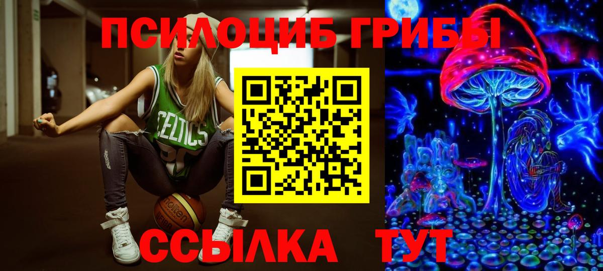 Псилоцибиновые грибы Psilocybine cubensis Переславль-Залесский