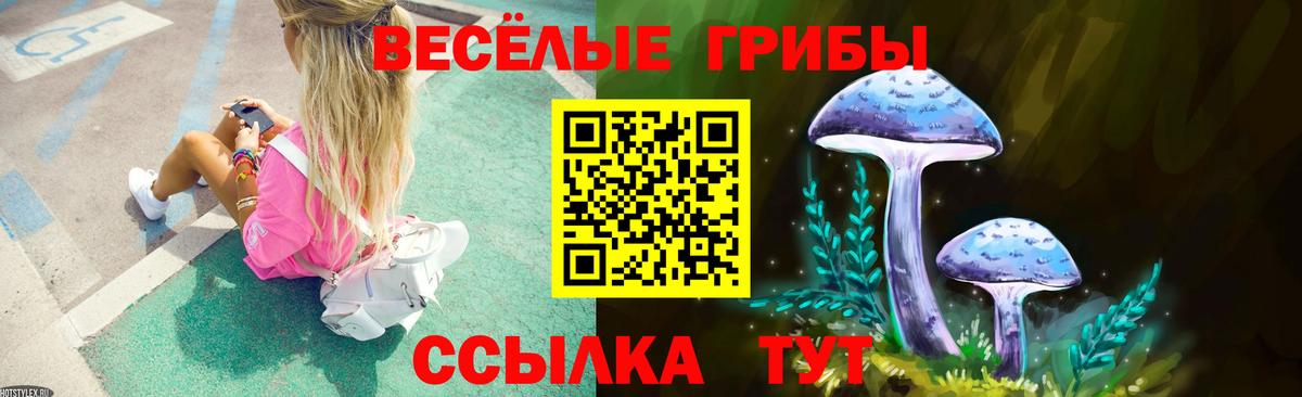 Псилоцибиновые грибы Psilocybine cubensis  Вход с VPN  Переславль-Залесский  Галлюциногенные грибы Psilocybine cubensis 